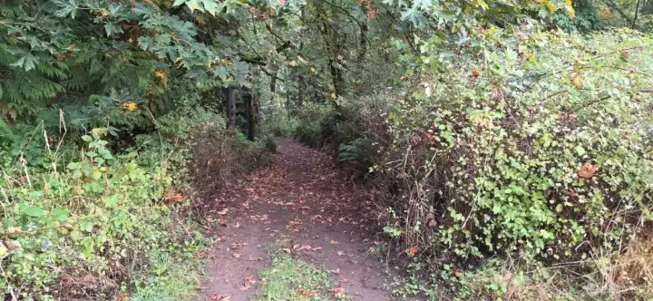 Bring your 4-wheelers and dirt bikes! This property features private trails perfect for off-road adventures right in your own backyard