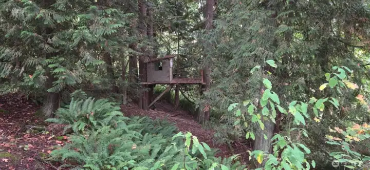 Step into the woods and discover your own elevated escape — a sturdy tree stand perfect for wildlife watching, hunting, or just soaking in nature