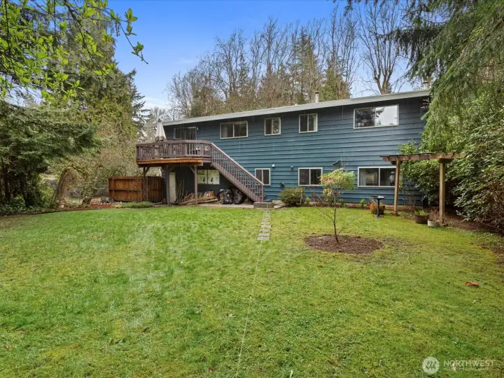 Back of House/ Backyard