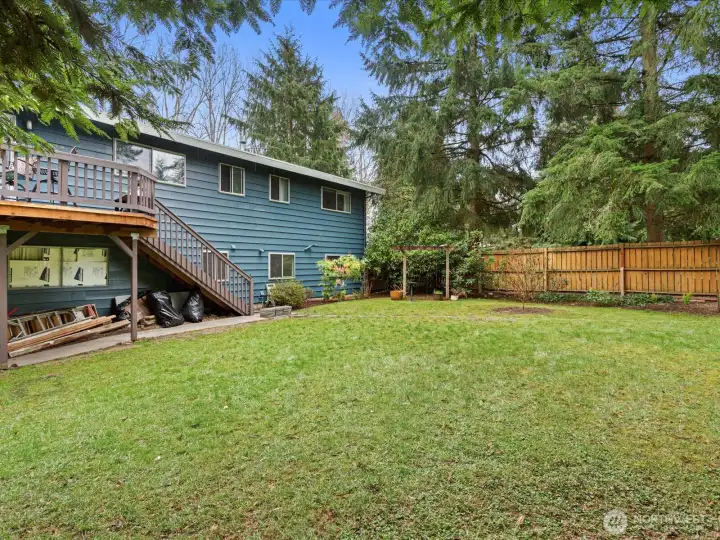 Back of House/ Backyard
