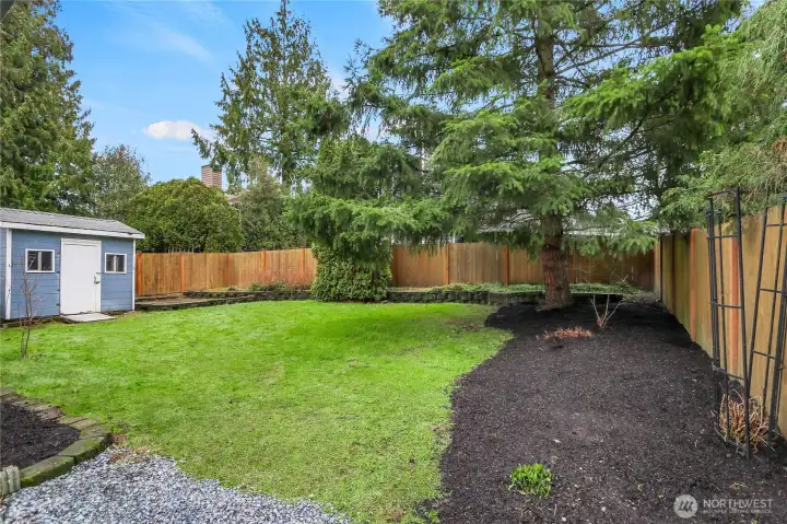 Level, fully fenced backyard with shed