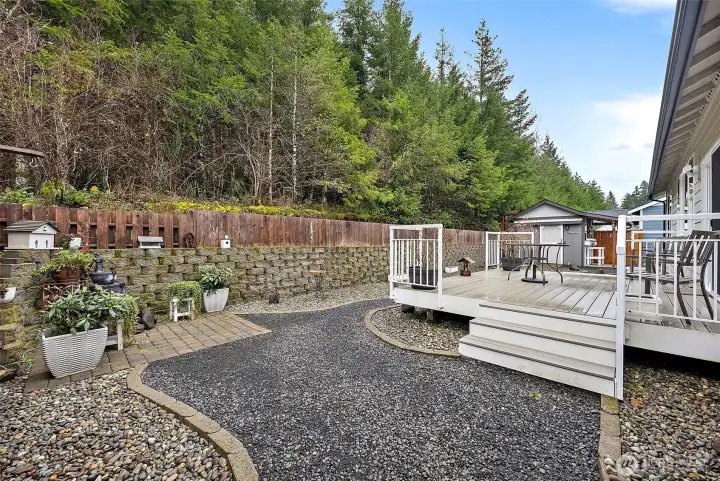 Low maintenance back yard