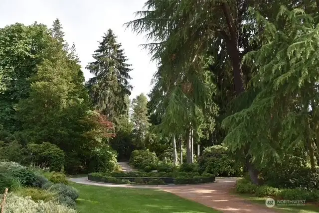 Volunteer Park, a crown jewel of the city
