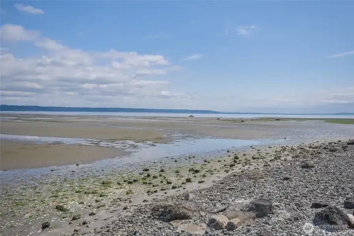 Whidbey's hidden treasure!