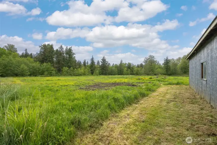 Pasture used for horses in the past. Pasture used for horses in the past.