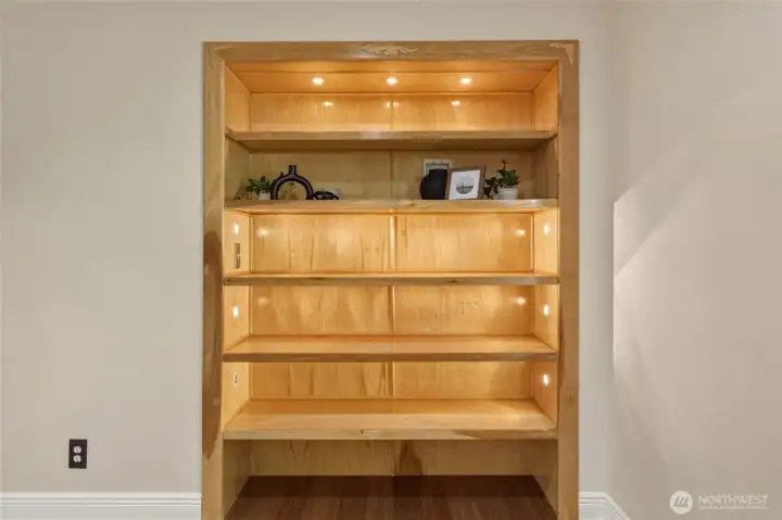 Built-in Lighted Shelving