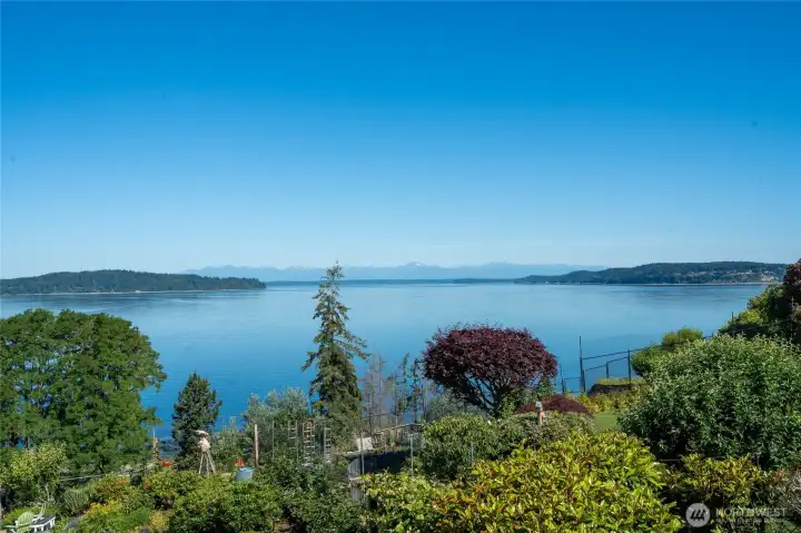 View from the deck!