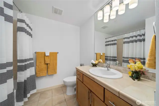 Guest bathroom