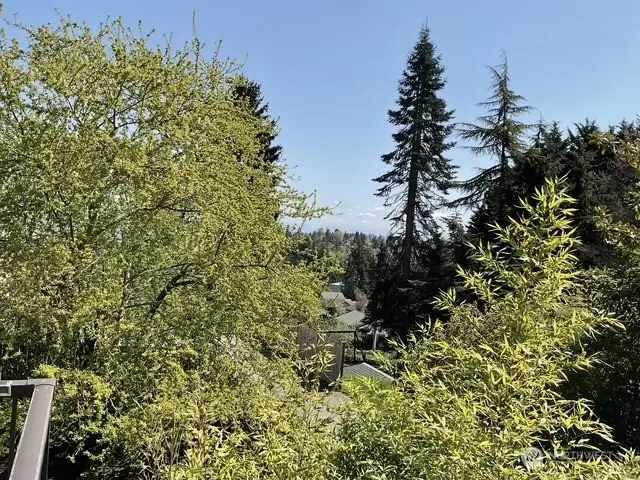 Lovely Cascade Mt view