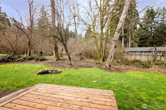 Backyard Deck