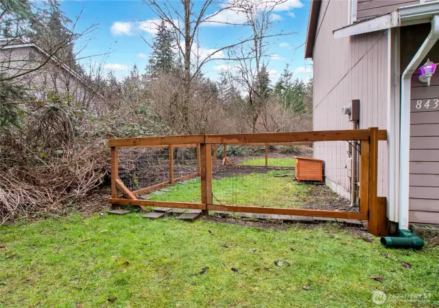 Dog Run in Left Side Yard