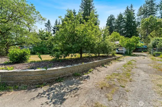 Driveway and mature fruit trees