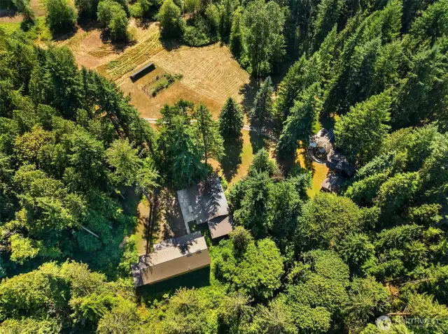 Ariel of the 20 acres.
