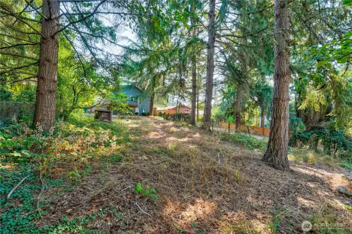Back yard view towards home