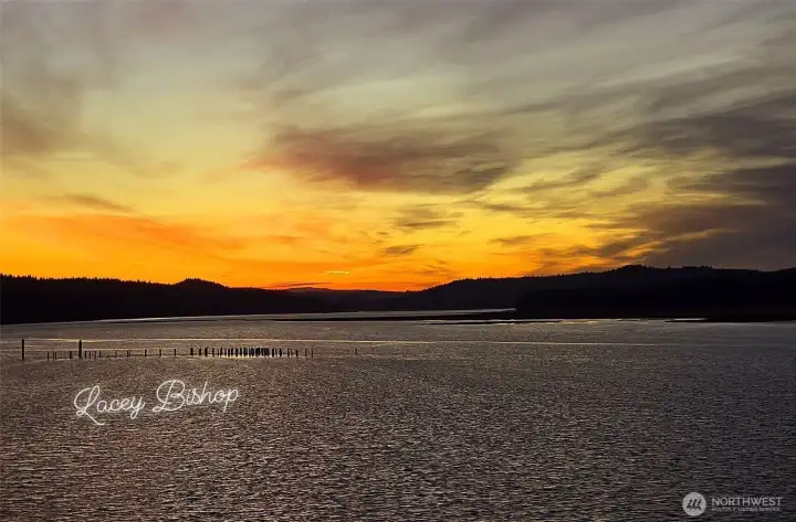 Willapa Bay at Sunset!