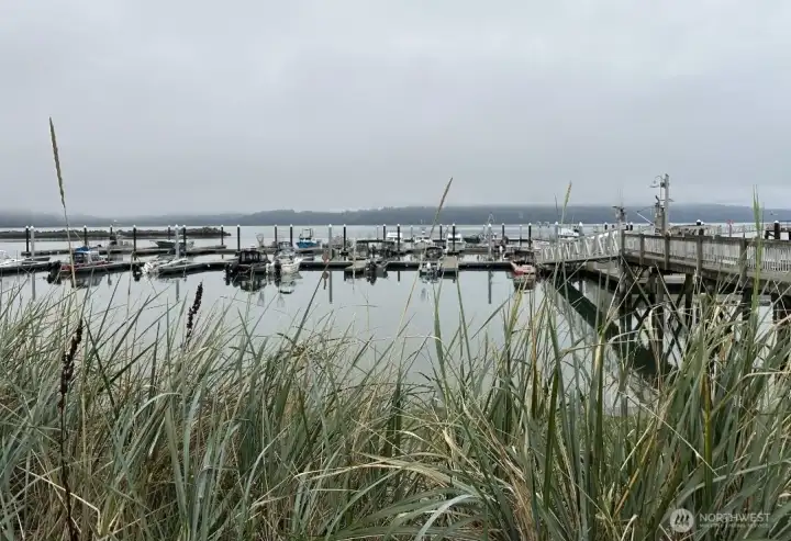 Tokeland Marina 1 mile away.