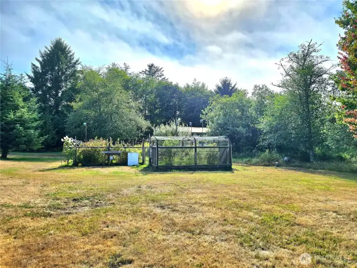 Fenced garden