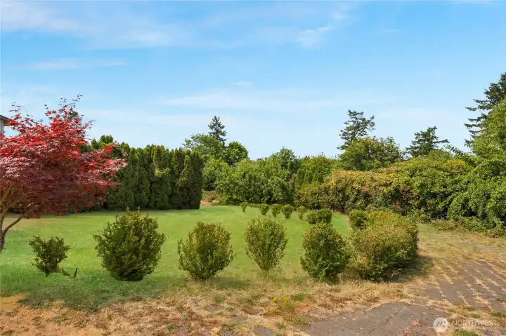 Some of the landscaping around the estate