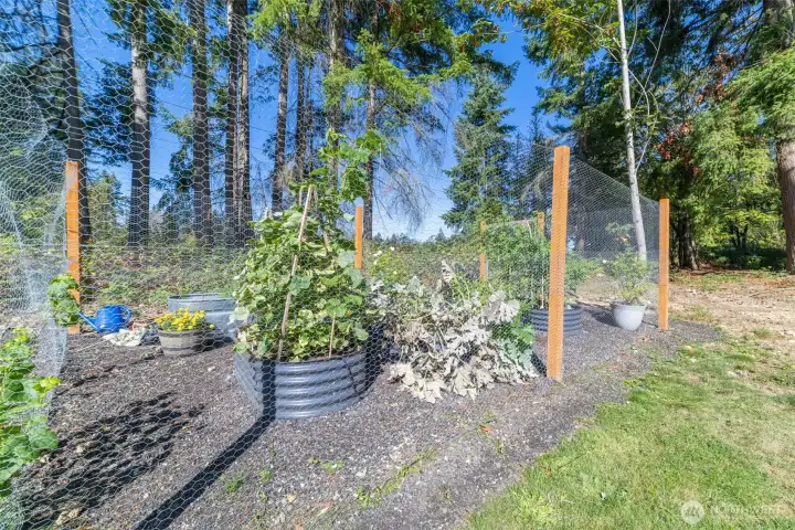 Garden Beds