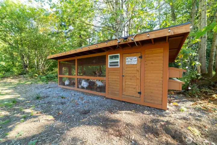 Custom Chicken Coop