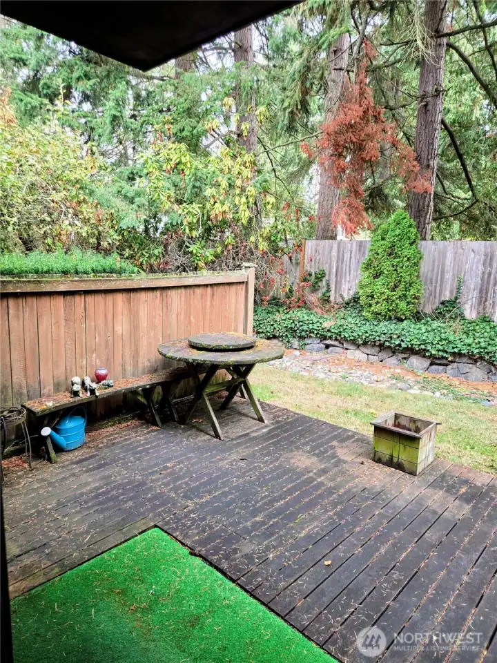 Deck from main level