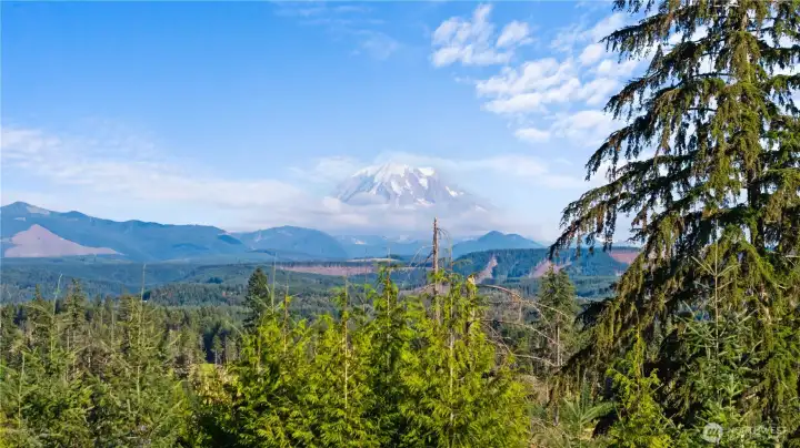 Mount Rainier is always a sight to see