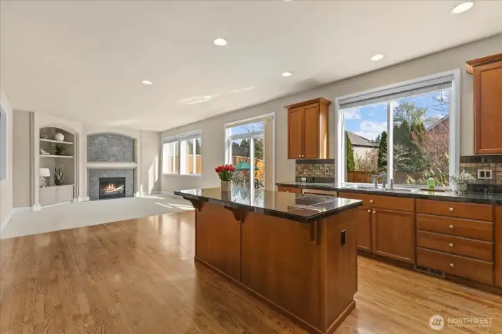 Kitchen and family room