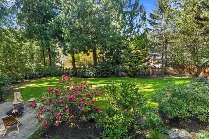 Natural setting side yard with full size gate for vehicle basement access to daylight basement and garden nursery back yard.