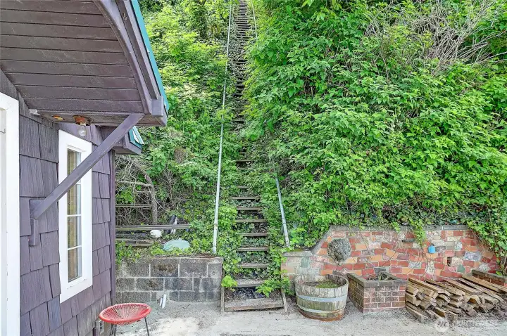 Stairway down to the boat house. Stairway is active and fairly sturdy but needs a little cleanup. Please don't plan on going down it, if buyers are legit and are bringing an offer then call Doug to make an appointment to visit boat house...