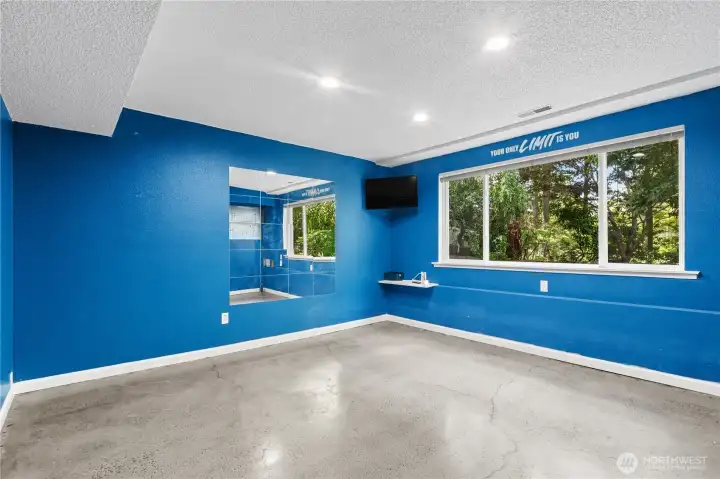 Basement gym