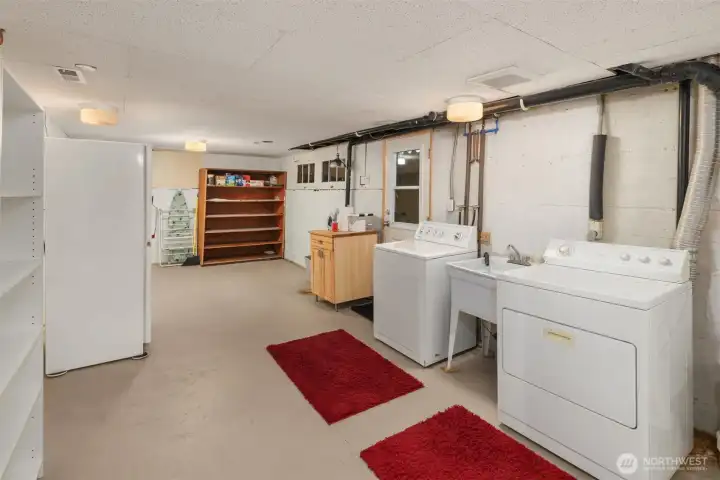 larege lower level room with laundry- storage