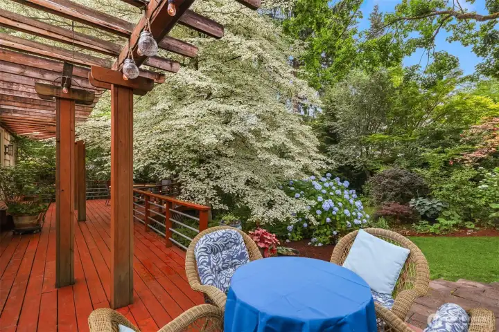 view of park like backyard