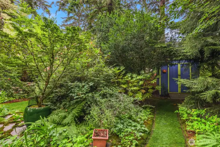garden shed in back yard