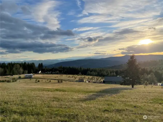 cleared 20 acres