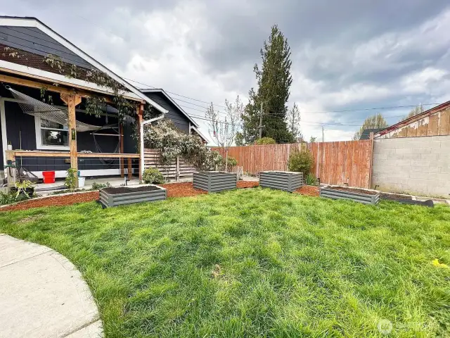 Back yard