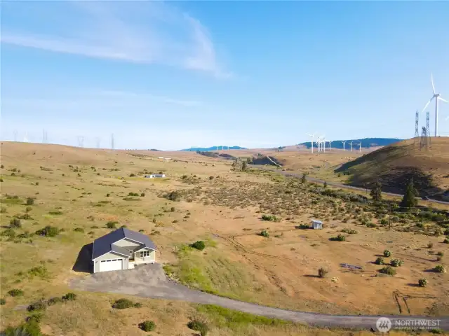 Enough room for the horses if wanted