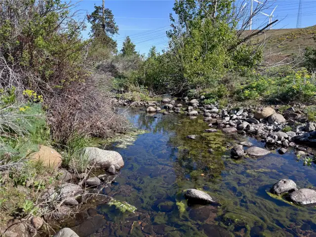Seasonal creek water