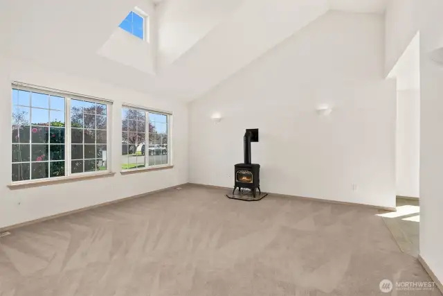 Gas fireplace
