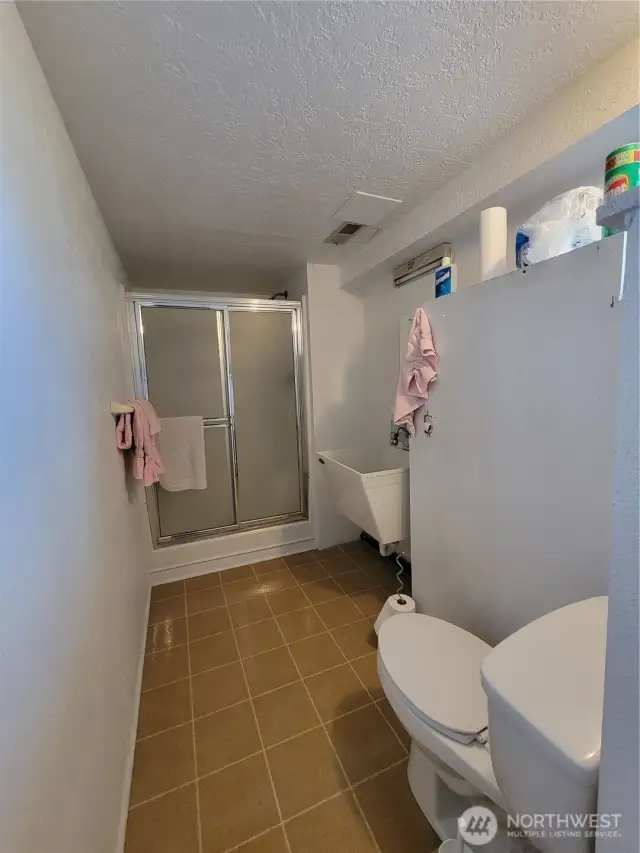 Basement Bathroom