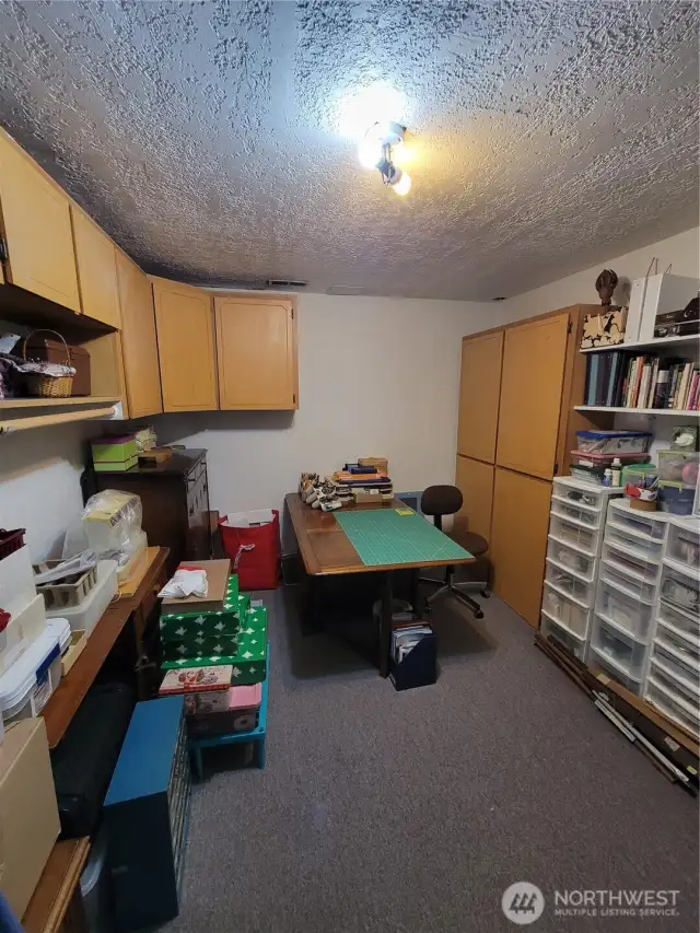 Basement Hobby Room
