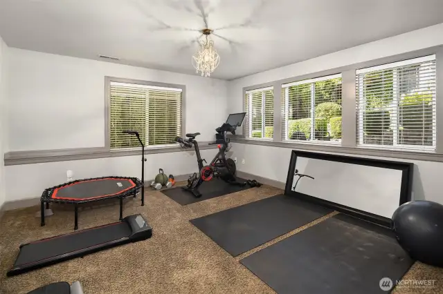 This important room is the downstairs bedroom.  Again, because the basement is above grade, this room benefits from wonderful natural light.  Currently used as an exercise space, this would also make a fabulous 5th bedroom and would be a great spot for a live-in extended family member.  There is a full bathroom conveniently located right outside the door.