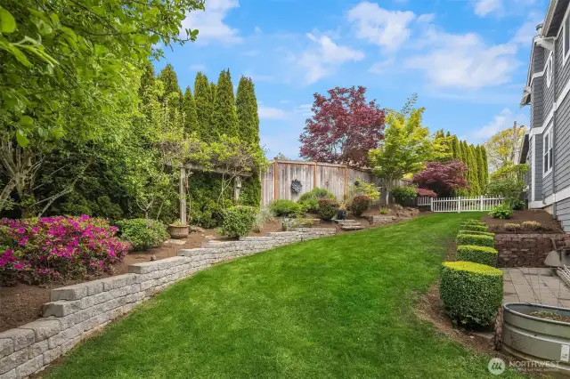 Equally as important as the back yard, this home's side yards, with their mature vegetation, provide room to play and ideal privacy from neighbors.