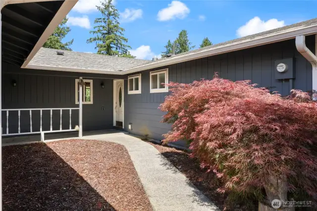 Japanese maple offers warm color as you come to the entry.