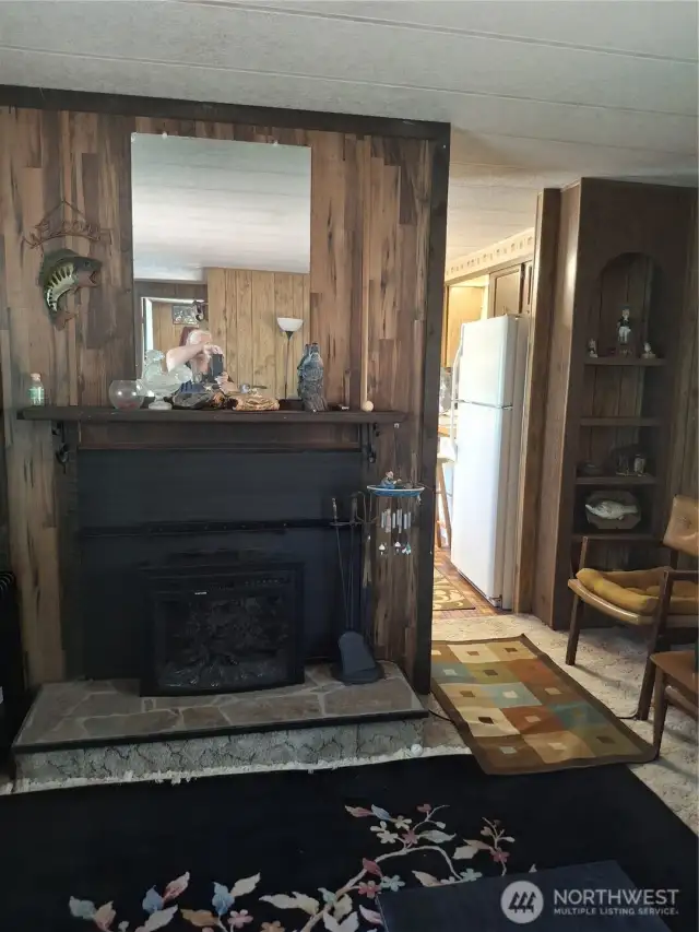 Electric Fireplace