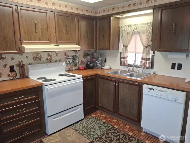 Kitchen Sink - Window