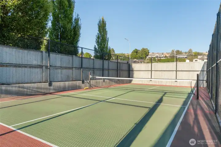 iPickleball court