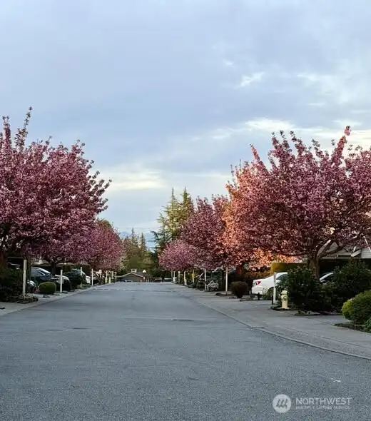 Welcome to the neighborhood!