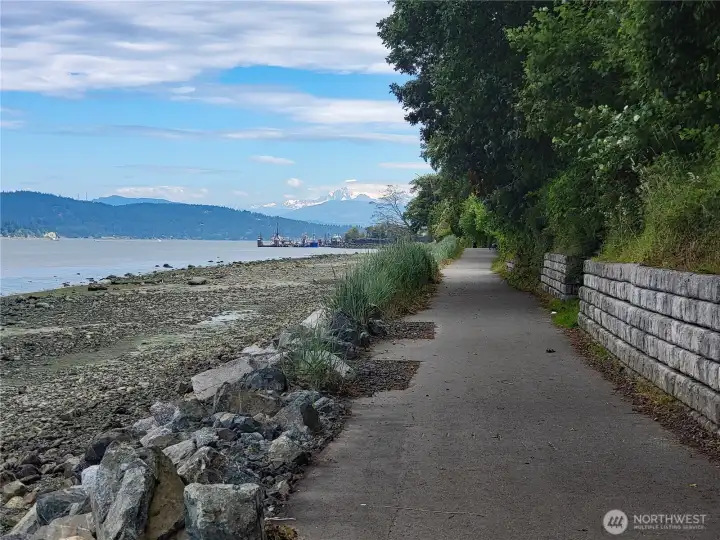 Guemes Channel trail along North side of property. Property is to the right, shoreline to the left. Views of the North Cascades and Mt. Baker are visible here to the East.