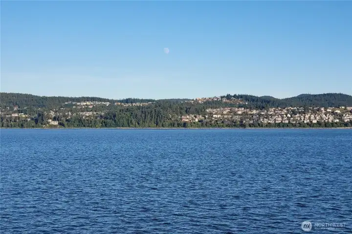 Long view of property (property is treed area) from the water.