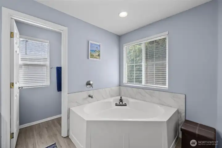 Relax in the bathtub while enjoying the natural light!